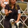 Amanda (owner) shows Brisa at the 2013 National, and wins a big beautiful ribbon!