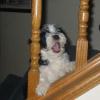 Rudy singing on the stairs