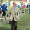 David on the way to the ring for the Santa Barbara Breeders Showcase with Vallee and Dreamer